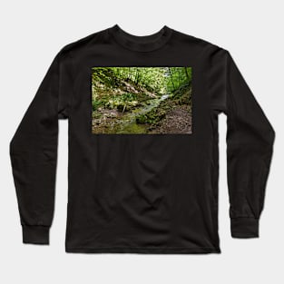 Mountain river flowing through valley Long Sleeve T-Shirt